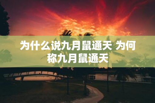 为什么说九月鼠通天 为何称九月鼠通天