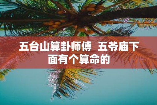 五台山算卦师傅  五爷庙下面有个算命的