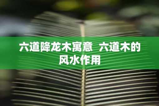 六道降龙木寓意  六道木的风水作用