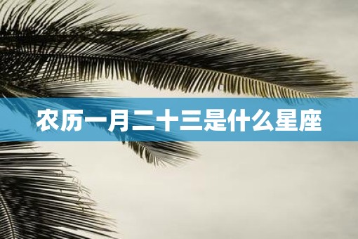 农历一月二十三是什么星座