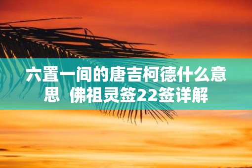 六置一间的唐吉柯德什么意思  佛祖灵签22签详解