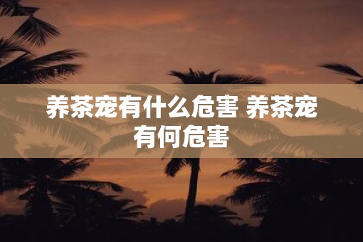 养茶宠有什么危害 养茶宠有何危害