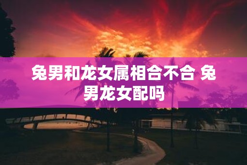 兔男和龙女属相合不合 兔男龙女配吗
