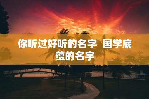 你听过好听的名字  国学底蕴的名字