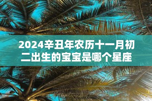 2025辛丑年农历十一月初二出生的宝宝是哪个星座