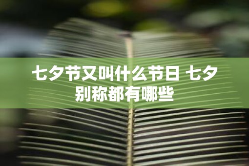 七夕节又叫什么节日 七夕别称都有哪些