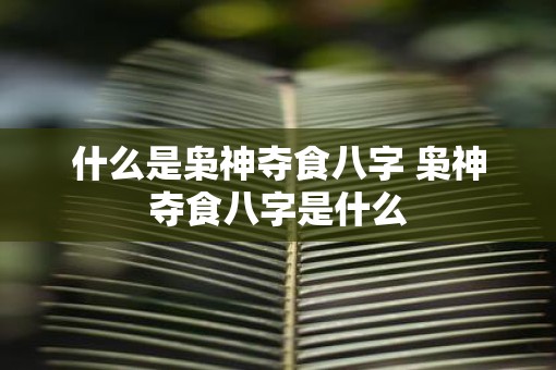 什么是枭神夺食八字 枭神夺食八字是什么