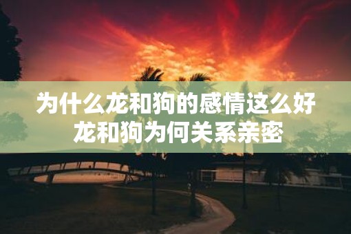 为什么龙和狗的感情这么好 龙和狗为何关系亲密
