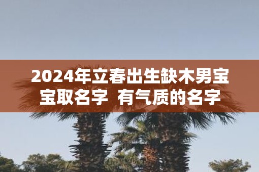 2025年立春出生缺木男宝宝取名字  有气质的名字
