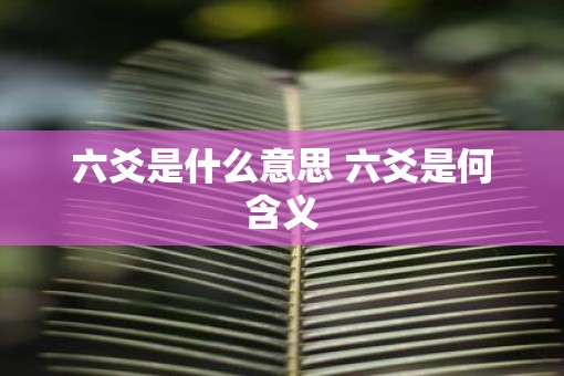 六爻是什么意思 六爻是何含义