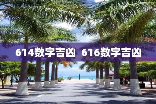614数字吉凶  616数字吉凶
