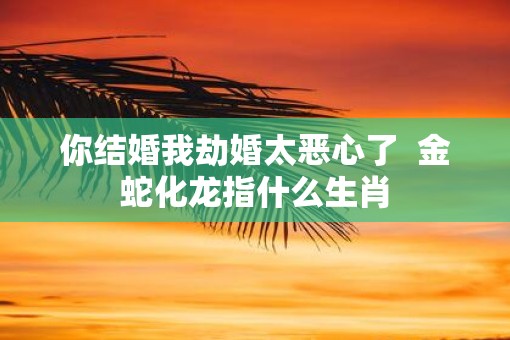 你结婚我劫婚太恶心了  金蛇化龙指什么生肖