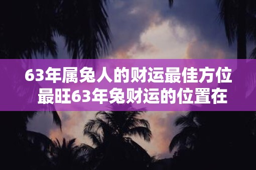 63年属兔人的财运最佳方位  最旺63年兔财运的位置在哪