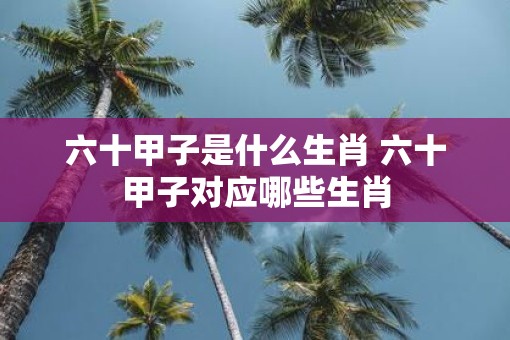 六十甲子是什么生肖 六十甲子对应哪些生肖
