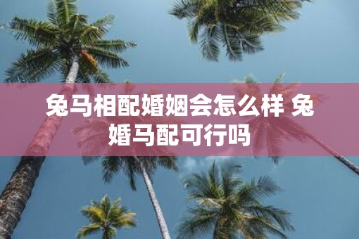 兔马相配婚姻会怎么样 兔婚马配可行吗