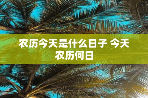 农历今天是什么日子 今天农历何日