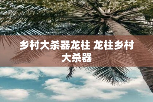 乡村大杀器龙柱 龙柱乡村大杀器