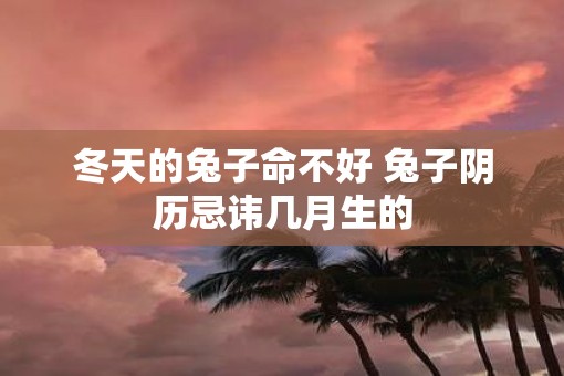 冬天的兔子命不好 兔子阴历忌讳几月生的