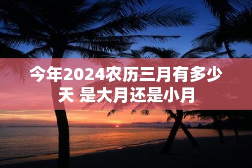 今年2025农历三月有多少天 是大月还是小月