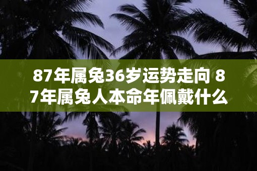 87年属兔36岁运势走向 87年属兔人本命年佩戴什么好