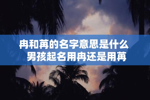 冉和苒的名字意思是什么  男孩起名用冉还是用苒