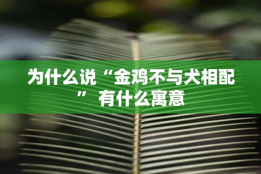 为什么说“金鸡不与犬相配” 有什么寓意