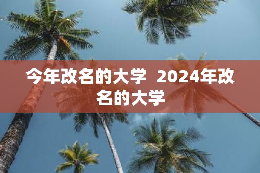 今年改名的大学  2025年改名的大学