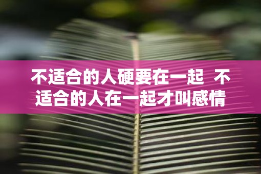 不适合的人硬要在一起  不适合的人在一起才叫感情