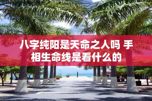 八字纯阳是天命之人吗 手相生命线是看什么的