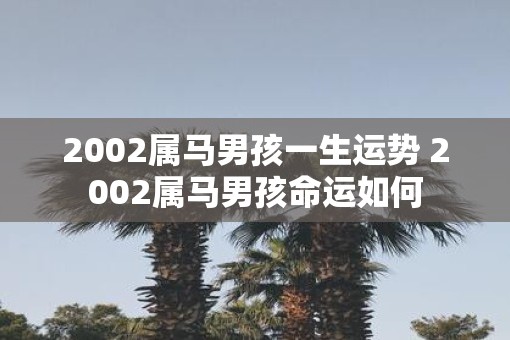 2002属马男孩一生运势 2002属马男孩命运如何