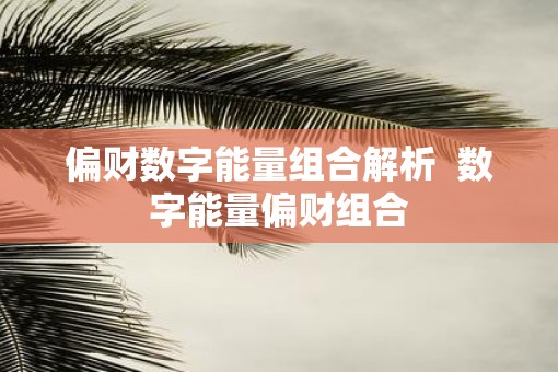 偏财数字能量组合解析  数字能量偏财组合
