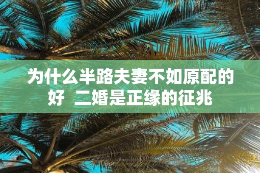 为什么半路夫妻不如原配的好  二婚是正缘的征兆