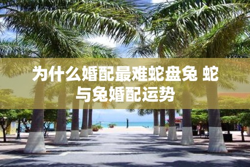 为什么婚配最难蛇盘兔 蛇与兔婚配运势