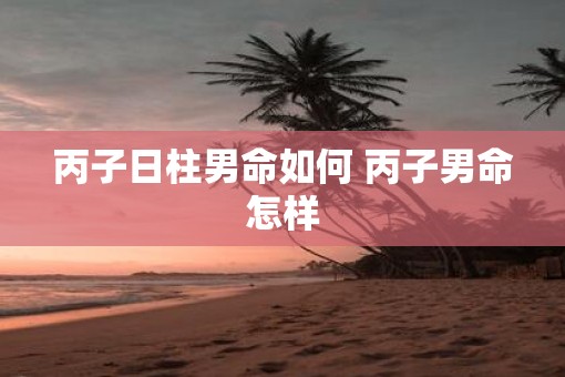 丙子日柱男命如何 丙子男命怎样