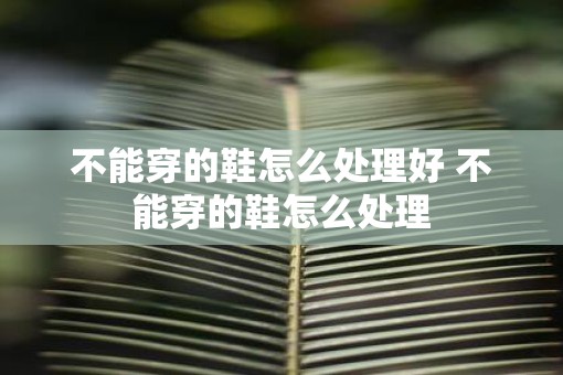 不能穿的鞋怎么处理好 不能穿的鞋怎么处理