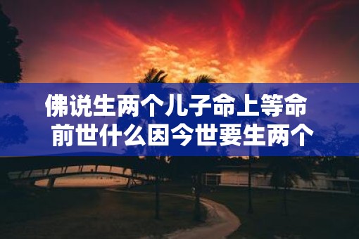 佛说生两个儿子命上等命  前世什么因今世要生两个儿子