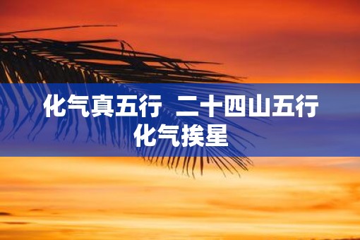 化气真五行  二十四山五行化气挨星