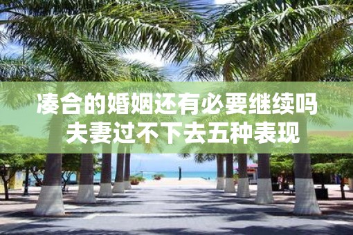 凑合的婚姻还有必要继续吗  夫妻过不下去五种表现