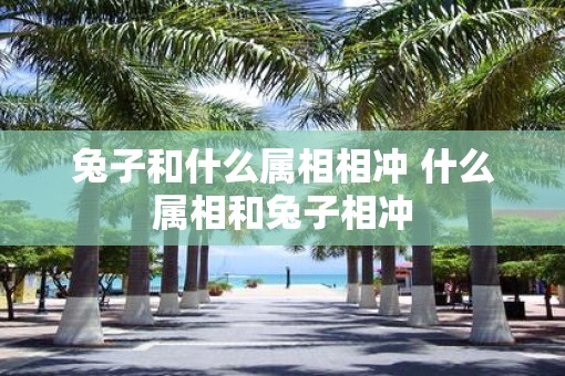兔子和什么属相相冲 什么属相和兔子相冲