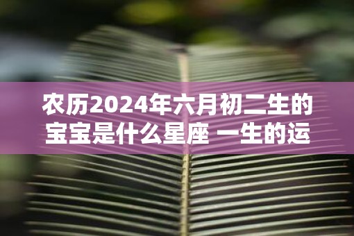 农历2025年六月初二生的宝宝是什么星座 一生的运势如何