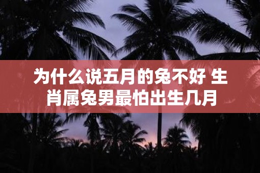 为什么说五月的兔不好 生肖属兔男最怕出生几月