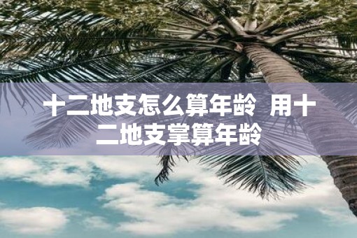 十二地支怎么算年龄  用十二地支掌算年龄