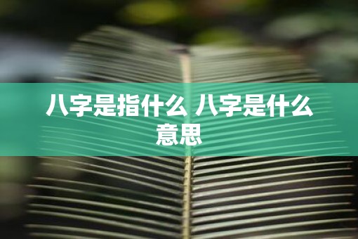 八字是指什么 八字是什么意思