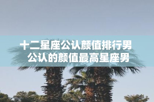 十二星座公认颜值排行男  公认的颜值最高星座男