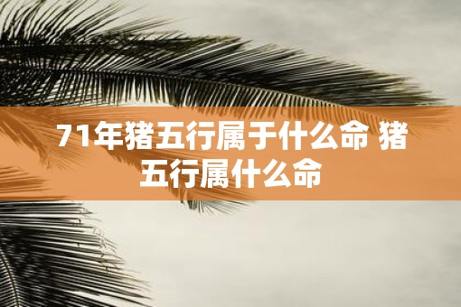 71年猪五行属于什么命 猪五行属什么命