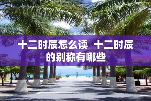 十二时辰怎么读  十二时辰的别称有哪些