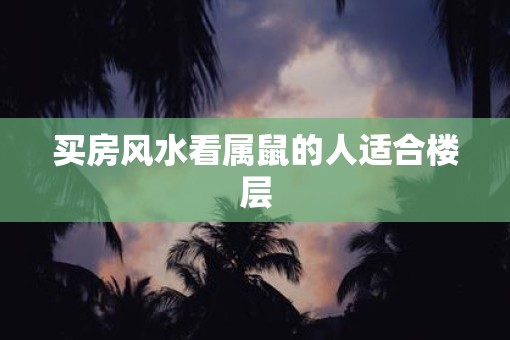 买房风水看属鼠的人适合楼层