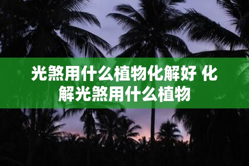 光煞用什么植物化解好 化解光煞用什么植物