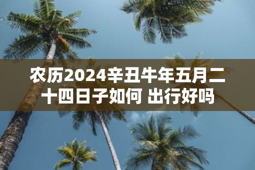 农历2025辛丑牛年五月二十四日子如何 出行好吗