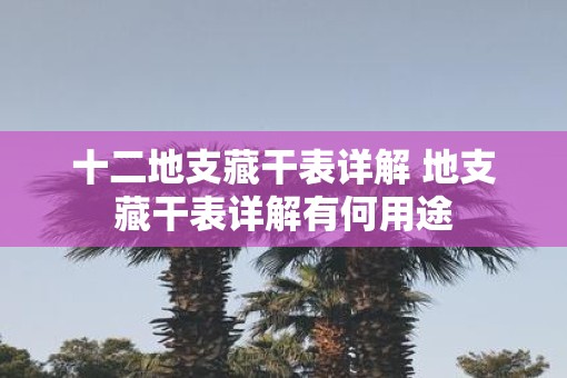 十二地支藏干表详解 地支藏干表详解有何用途